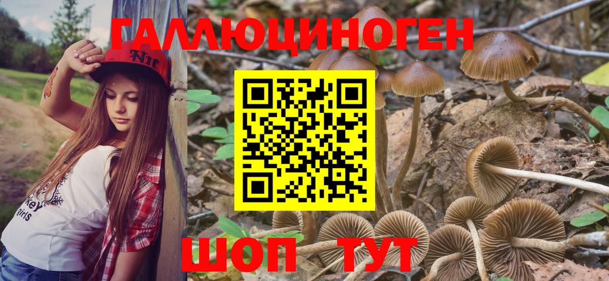 Галлюциногенные грибы MAGIC MUSHROOMS  Вход с VPN  Бузулук 
